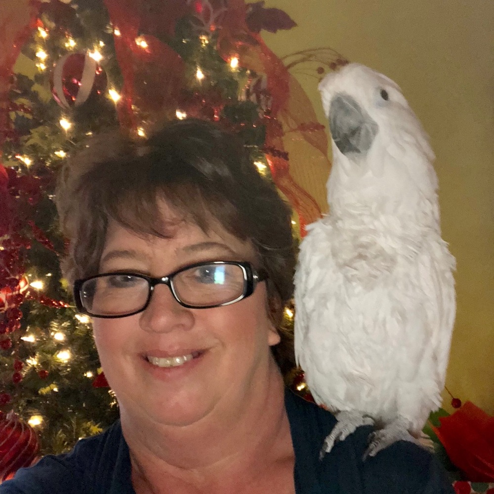 Meet your Posher, Greta